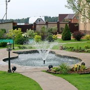 Благоустройство и озеленение фото