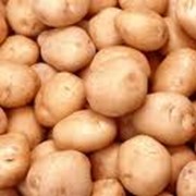 Картофель органический 1кг фото