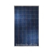 Солнечная панель ABi-Solar SR-P660250 (250Вт)