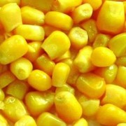 Кукуруза - закупаем на постоянной основе фотография