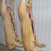 Мясо свиное (полутуши) фото