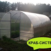 Теплица Сибирская 20ЦК-1, 10 метров. Система крепления Краб + форточка Автоинтеллект фотография