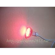 Светодиодная лампа LB - 23 30 LED(2W) 230V красная и синяя фото