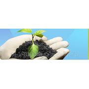 Аудит сайтов фото