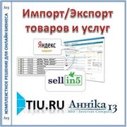 Импорт/Экспорт товаров и услуг в: Яндекс Маркет, Sellin5 и пр. для сайта на tiu.ru фото