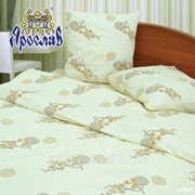 Комплект постельного белья - сатин ТМ Ярослав, s 564, евро (200х220 см) фото