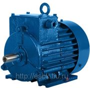 Электродвигатель крановый MTКF(H) 412-6 (h-225); 30 кВт/965 фото