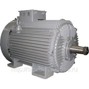 Крановый электродвигатель MTH 611-6 63KW 1000 об. фото
