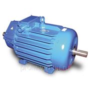 Крановые электродвигатели 4МТМ200LB8 фото