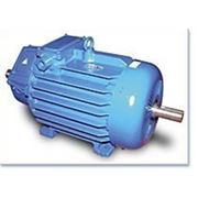 Электродвигатель МТН 613-6 110/970 кВт/об фото
