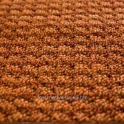 Ковролін Феникс 8315 фото