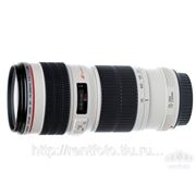 Прокат объектива Canon EF 70-200 mm f/4L USM