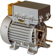 Электродвигатель бесконтактный постоянного тока ДВ-3000