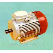 Электродвигатель многоскоростной АИР112МВ8 2,2/3,6 710/1500 фото