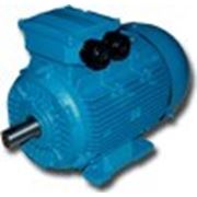 Взрывозащищенные асинхронные электродвигатели АВ, АВР, АИМ, ВА, ВАО2, ВРП, 1ВАО, 2В, 2ВР, 3В фото