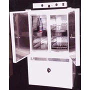 Шкаф сушильно-стерилизационный ШСС-250п(заменены на ГП320) фото