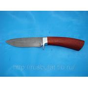 Нож «Соболь-2» клинок из дамасской стали рукоять: падук фото