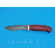 Нож «Вальдшнеп-2» клинок из дамасской стали рукоять: падук фото