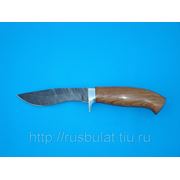 Нож «Вальдшнеп-2» клинок из дамасской стали рукоять: бубинга фото