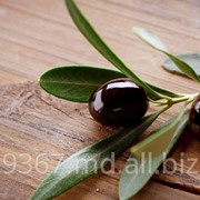 Черные оливки фотография
