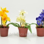 Цветок искусственный “Ирис в горшке“ DON03110 фото