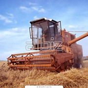 Уборка урожая зерновыми комбайнами фото