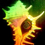 Радужные голограммы фото