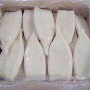 Кальмар фото