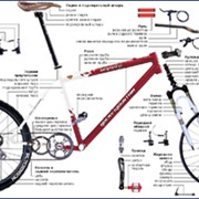 Техническое обслуживание и ремонт велосипедов Гатне фото