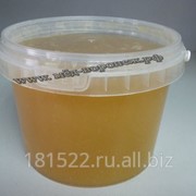Мёд кориандровый 650гр. фото