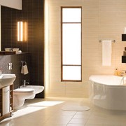 Мебель для ванных комнат и зеркала Кухонные мойки фотография