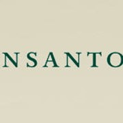 Семена, посевной материал от Monsanto Company / Монсанто продажа Умань, Украина.