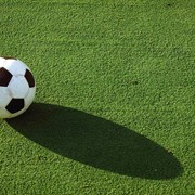 Искусственная трава для футбола DOMO FOOT 55 F