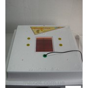 Инкубатор для яиц "Курочка ряба" на 42 яйца с автоматическим переворотом(цифровой терморегулятор)