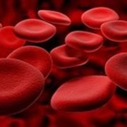 Гемоглобин крови Sonac фотография