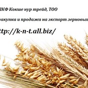 Закупка и реализация зерновых культур