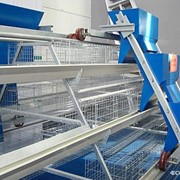 Оборудование для птицефабрик. фото