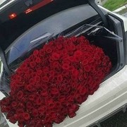 501 роза, свежие розы, бесплатная доставка Москва фото