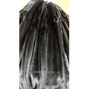 Черная натуральная норка (сканблэк/scanblack), самочки. Размер: 3 (50-54 см.) фото
