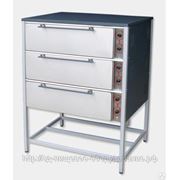 Шкаф пекарский ШПЭн-3, 3-секц. фото