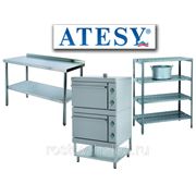 Пищевое оборудование Атеси / Продукция компании Atesy