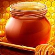 Принимаем мед натуральный фото