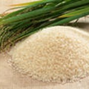 Крупа рисовая дробленая фото