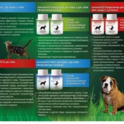 Кормовые добавки на ХИТОЗАНЕ! и спреи для шерсти и от запаха! фото