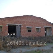 Нежилое здание (бывший коровник) фото