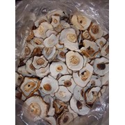 Белые сушеные грибы Закарпатье. фото
