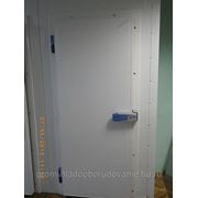 Дверь для холодильной камеры, одностворчатая.