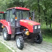 Трактор Беларус фото