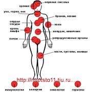 Компьютерная диагностика всего организма на клеточном уровне фотография