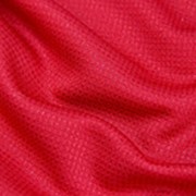 Трикотажное полотно (пума), цвет красный